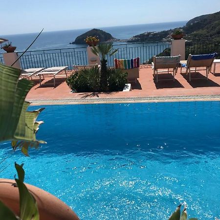 L' Ulivo Villa Nunzia Barano dʼIschia Exteriér fotografie
