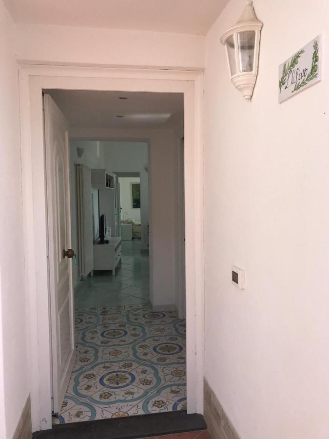 L' Ulivo Villa Nunzia Barano dʼIschia Exteriér fotografie