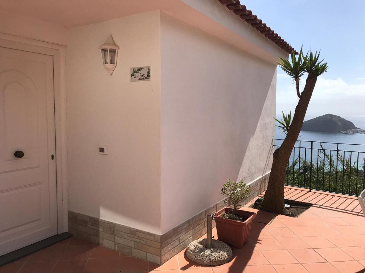 L' Ulivo Villa Nunzia Barano dʼIschia Exteriér fotografie